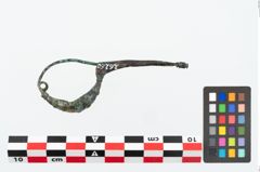 Foto von Bronzekahnfibel (NHMW-PRAE-026260)